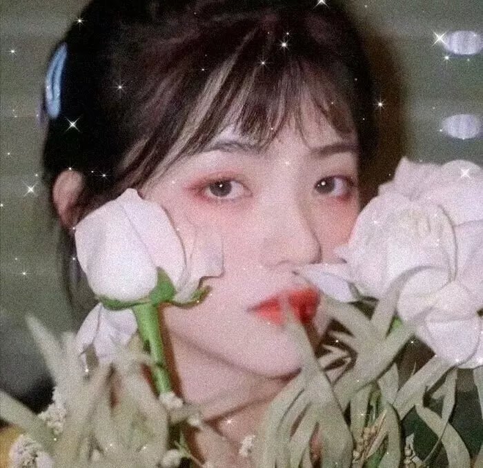 捕风追影
